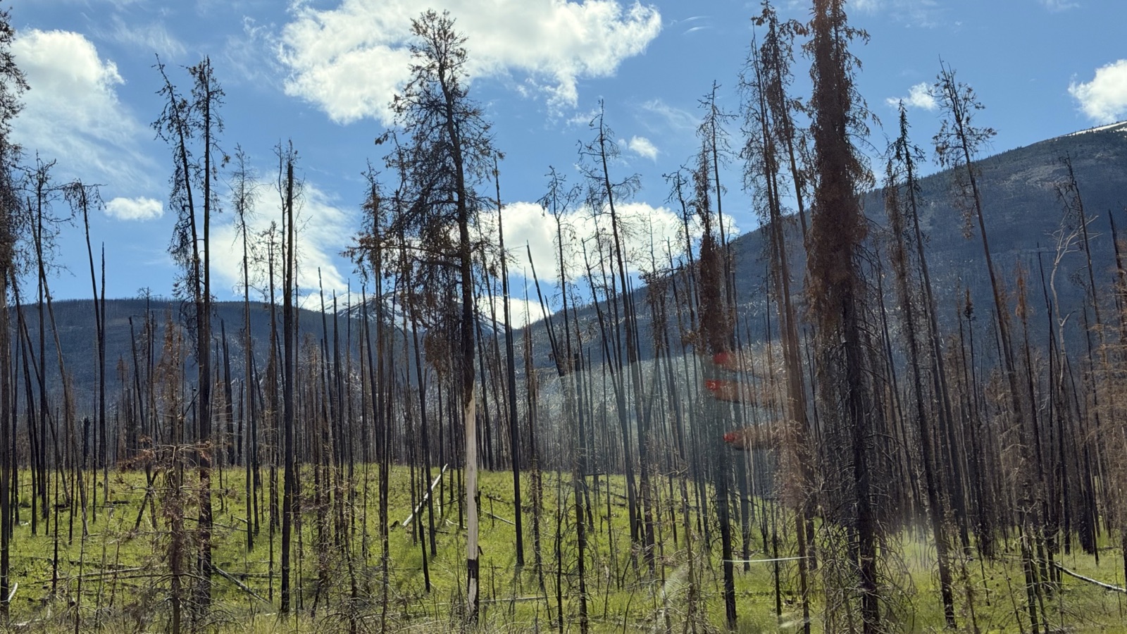 Jasper, Canada