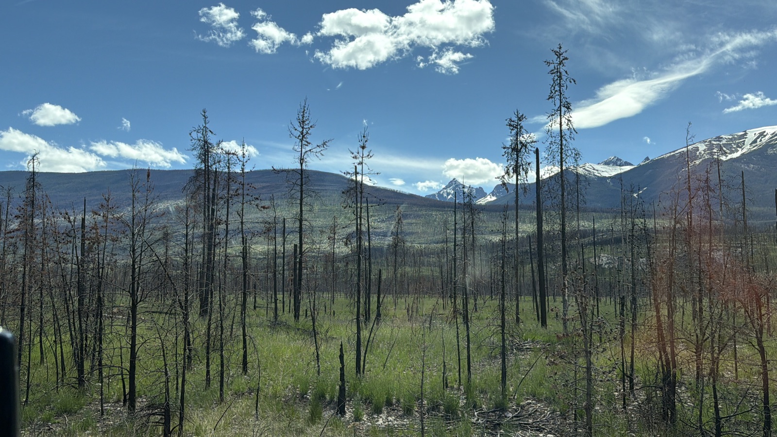 Jasper, Canada
